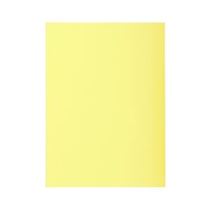 Exacompta - 850005E - 10 paquets de 250 sous-chemises SUPER 60 g/m2 aux couleurs pastel - 22x31cm pour A4 - couleur canari