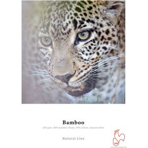 Hahnemühle Papier Bamboo Fine Art 290 g 36 pouces