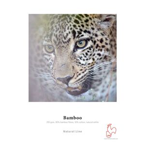 Hahnemühle Papier Bamboo Fine Art 290 g 24 pouces