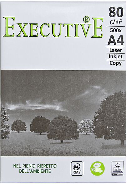 PAPERLINE EXECUTIVE 80 GR