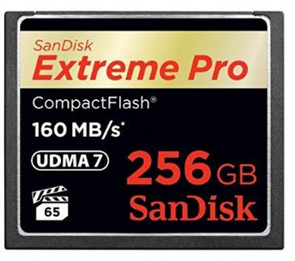 SanDisk Extreme Pro 1067x CompactFlash-Card - 256GB