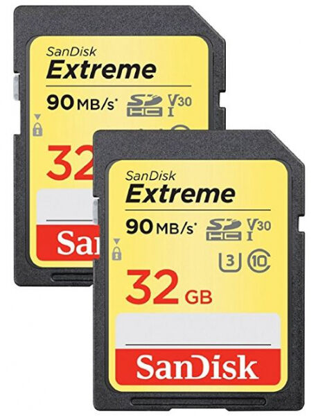 SanDisk ActionSC Extreme microSDHC - 32GB - 2er Pack