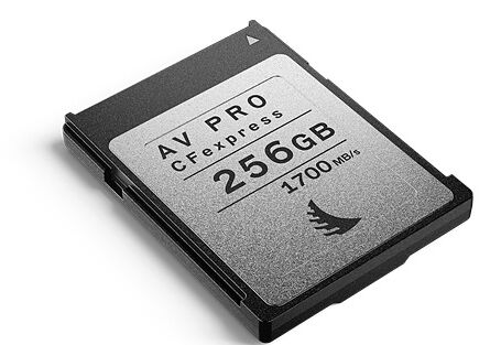 ANGELBIRD Carte CFexpress AV Pro 256Go W1500/R1700Mb/s