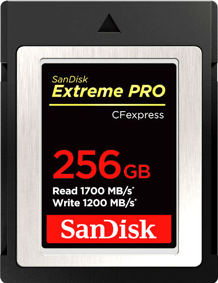 SanDisk Carte CFexpress Extreme Pro 256GB 1700/1200Mb/s (XQD)