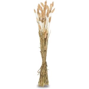 Manor - Trockenblume, G#383/250g, Beige