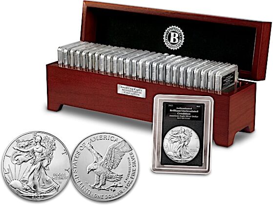 The Bradford Exchange Complete American Eagle Silver Dollar Coin Collection