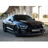 Ford Mustang GT 5.0 (15min jízda)