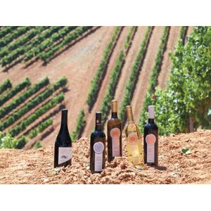 SmartBox Visita y cata de vinos en bodegas de D.O. Bierzo