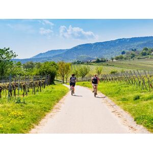 SmartBox Ruta en bicicleta eléctrica y curso de viticultura con cata sábado o domingo en Bodegas J. Miquel Jané