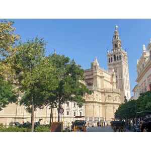 SmartBox Visita guiada a la Catedral y Alcázar de Sevilla con acceso prioritario