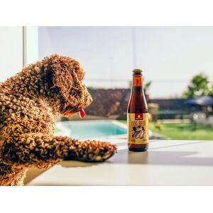 SmartBox Acceso a la piscina canina para 2 perros y 2 cervezas