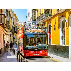 SmartBox Experiencia turística completa en Sevilla con bus, recorridos y entradas