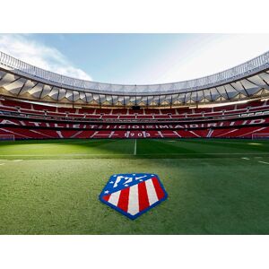 SmartBox Territorio Atleti: 1 entrada para el Museo y Tour por el estadio