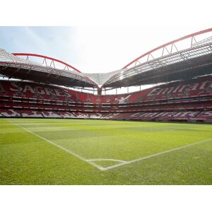 SmartBox ¡Lisboa para futboleros!: visita al estadio y museo del Sport Lisboa e Benfica para 1 persona