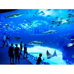 SmartBox Poema del Mar - Aquarium Gran Canaria: 2 entradas de adulto