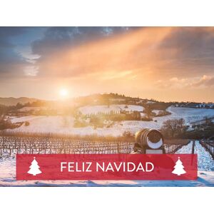 SmartBox ¡Feliz Navidad entre viñas! 1 noche con cata de vinos