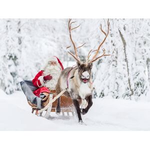 SmartBox Laponia: 4 noches en hotel 3* con visita a Santa Claus y granja de renos y huskies
