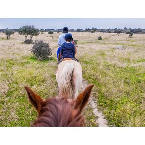 SmartBox ¡Naturaleza y animales!: ruta a caballo para 1 persona