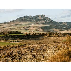 SmartBox Berta Valgañón Viñedos Centenarios: visita a bodega de 2h y cata de vinos para 2