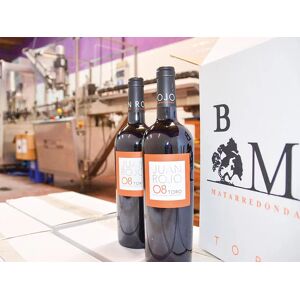 SmartBox Bodegas Matarredonda: 1 visita a la bodega de 20 min y degustación de vinos para 2