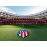 SmartBox Territorio Atleti: 1 entrada para el Museo y Tour por el estadio