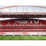 SmartBox Fútbol en familia: 1 visita al estadio en el Sport Lisboa e Benfica para 2 adultos y 2 niños