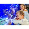 SmartBox Palma Aquarium: 2 entradas de adulto y 1 de niño