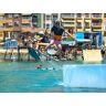 SmartBox Wakeboard: bono de 5 días en Benidorm para niño