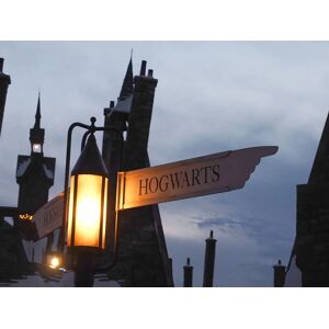 Smartbox Visite guidée Harry Potter® de Londres pour 1 adulte et 1 enfant en bus Coffret cadeau Smartbox