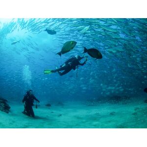 SmartBox Emozioni in mare: 1 lezione di immersione subacquea per te