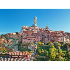 SmartBox Tour enologico con pranzo tipico nel Chianti, Siena e San Gimignano