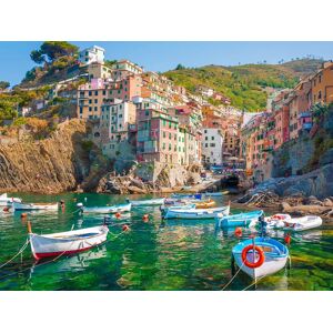 SmartBox Tour delle Cinque Terre con partenza da Firenze