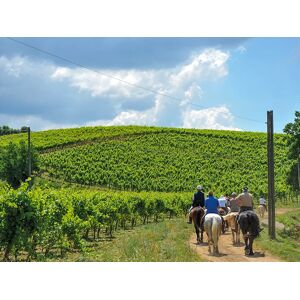 SmartBox Passeggiata a cavallo nei Monti Lepini con degustazione in cantina vinicola per 2