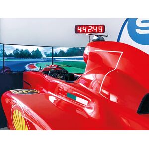 SmartBox Adrenalinica esperienza di guida su simulatore di Formula 1 Full Motion