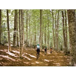 SmartBox Esplorando il Monte Amiata: escursione guidata in e-bike per 2 amanti dellâ€™avventura