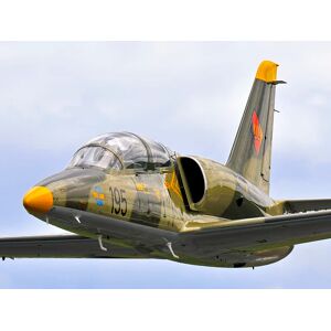 SmartBox Pilota per un giorno in California: adrenalina a bordo di un L-39 Albatros jet fighter