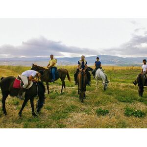 SmartBox Tutti in sella in Toscana: passeggiata a cavallo di 1h con lezione introduttiva per 4