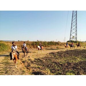 SmartBox In sella nel verde di Viterbo: una passeggiata di unâ€™ora a cavallo per 2