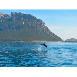 SmartBox In Sardegna sulla scia dei delfini: escursione in gommone per 2 adulti e 2 bambini
