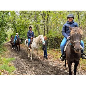 SmartBox Sulle pendici dellâ€™Etna in famiglia: passeggiata a cavallo di 1h per 2 adulti e 2 bambini