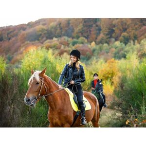 SmartBox Passeggiata a cavallo di 1h sulle pendici dellâ€™Etna per 2 persone