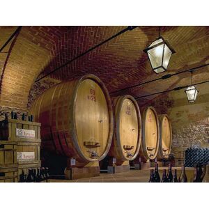 SmartBox Visita enologica con degustazione di 5 vini a Cuneo e bottiglia di vino tipica del Piemonte