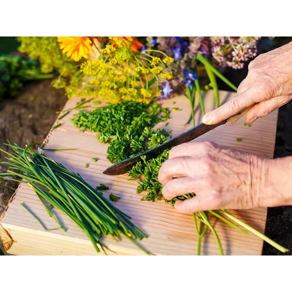 smartbox dallâ€™orto alla tavola: corso di cucina per 2 persone con raccolta di erbe spontanee