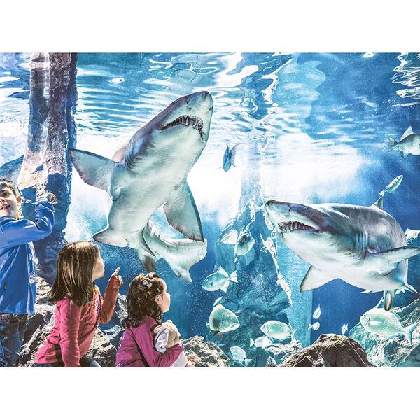 smartbox visita all'acquario di cattolica con pranzo incluso per 2 adulti e 2 bambini