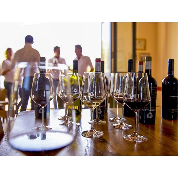 smartbox tra le vigne dell'etna: visita ad una cantina con degustazione vini siciliani
