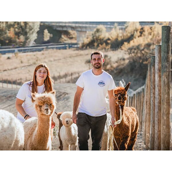 smartbox a spasso con gli alpaca: slow trekking in una fattoria per 2 adulti e 1 bambino