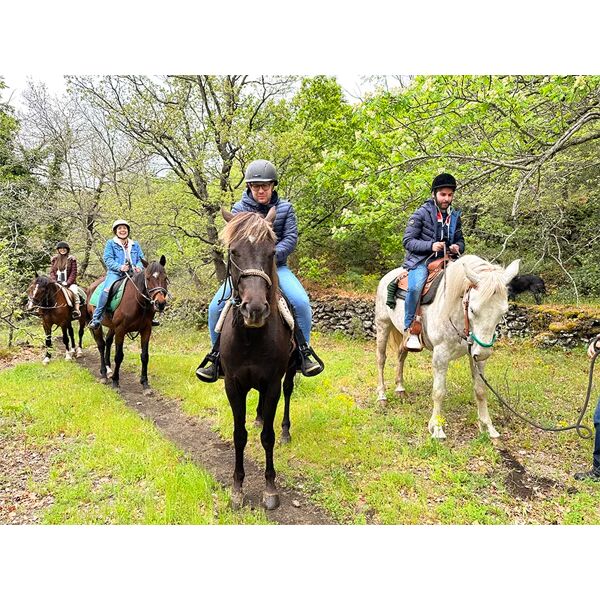 smartbox passeggiata a cavallo di 2h alle pendici dellâ€™etna per 4 persone