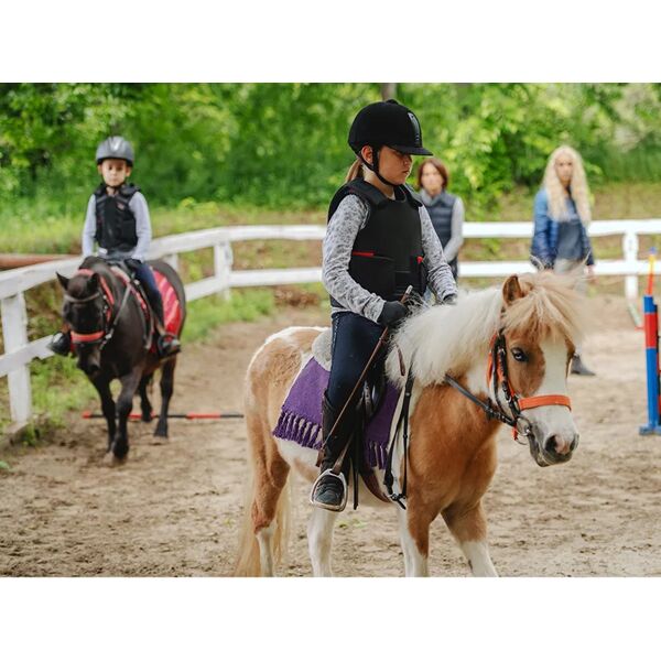smartbox piccoli cavalieri: 1 lezione di equitazione di 1h sui pony per 3 bambini vicino ad alessandria