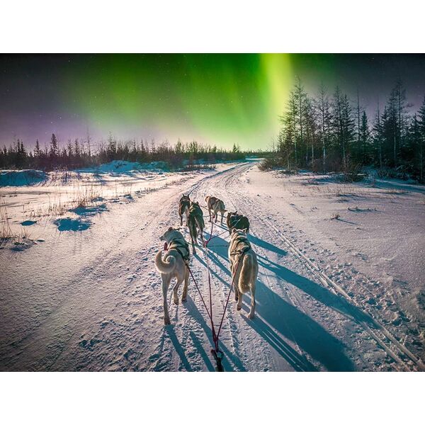 smartbox 3 notti sotto l'aurora boreale con gita in slitta trainata dagli husky in norvegia