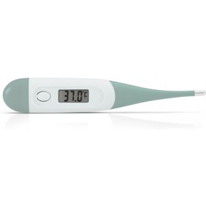 Alecto Thermomètre digital bébé Alecto vert - Thermomètre